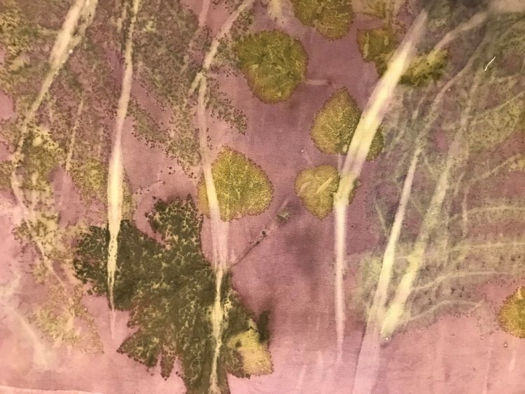 118617491_318775506075170_3966908530609388468_n